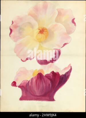 Art inspiré par le dessin de la fleur de magnolia de la capitale florale de loggia, Laurelton Hall, ca. 1900–1915, américain, aquarelle, graphite et encre sur papier, 18 3/8 x 14 po. (46,7 x 35,6 cm), dessins, Lenox, Incorporated (établi en 1889, oeuvres classiques modernisées par Artotop avec une touche de modernité. Formes, couleur et valeur, impact visuel accrocheur sur l'art émotions par la liberté d'œuvres d'art d'une manière contemporaine. Un message intemporel qui cherche une nouvelle direction créative. Artistes qui se tournent vers le support numérique et créent le NFT Artotop Banque D'Images