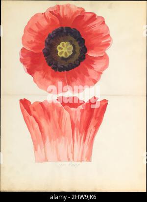 Art inspiré par le dessin de conception de la fleur de pavot de la capitale florale de loggia, Laurelton Hall, ca. 1900–1915, américain, aquarelle, graphite et encre sur papier, 18 3/8 x 14 po. (46,7 x 35,6 cm), dessins, Lenox, Incorporated (établi en 1889, oeuvres classiques modernisées par Artotop avec une touche de modernité. Formes, couleur et valeur, impact visuel accrocheur sur l'art émotions par la liberté d'œuvres d'art d'une manière contemporaine. Un message intemporel qui cherche une nouvelle direction créative. Artistes qui se tournent vers le support numérique et créent le NFT Artotop Banque D'Images