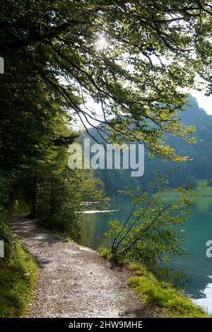 Une vue panoramique d'un bateau reposant sur le lac Alatsee et les arbres verts se reflétant dans son eau vert émeraude lors d'une belle journée d'août à Bad Faulenbach (Bava Banque D'Images