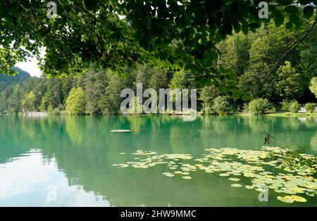 Une vue panoramique d'un bateau reposant sur le lac Alatsee et les arbres verts se reflétant dans son eau vert émeraude lors d'une belle journée d'août à Bad Faulenbach (Bava Banque D'Images