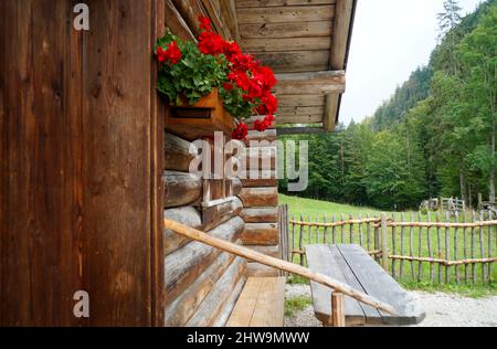 Une cabane en bois rustique avec des géraniums sur le rebord de la fenêtre dans les Alpes allemandes (région de Fuessen, Bavière, Allemagne) Banque D'Images