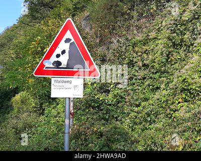 Panneau d'avertissement chute ou chute de rochers sur un chemin forestier, Allemagne Banque D'Images