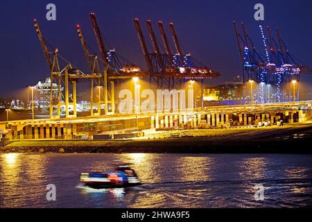 Grues au terminal de conteneurs Tollerort dans la soirée, Port de Hambourg, Allemagne, Hambourg Banque D'Images