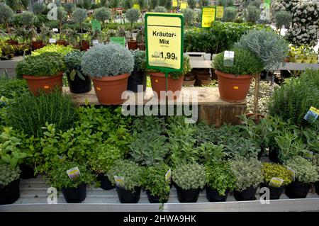 Herbes à vendre dans un centre de jardin, Allemagne Banque D'Images