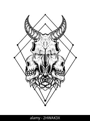 illustration crâne de chèvre sur fond blanc Illustration de Vecteur