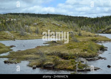 Paysage accidenté et lac de rencontre le long de la route de Terre-Neuve au printemps Banque D'Images