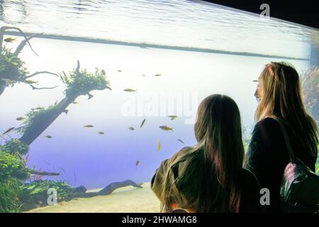 Mère et fille regardant et discutant des poissons dans l'Oceanarium de Lisbonne situé dans le Parque das Nações, le plus grand aquarium intérieur d'Europe. Banque D'Images