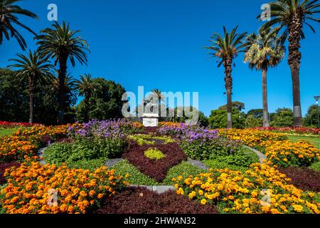 Horloge florale et monument King Edward the VII à St Kilda Road Melbourne, Victoria, Australie Banque D'Images