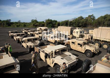 Des véhicules de l’Armée de terre ont proposé le stock-3, également connu sous le nom d’APS afloat, et sont mis en scène dans la zone de manutention de la configuration de l’équipement du Bataillon de soutien sur le terrain de l’Armée de terre-Charleston. Les unités du Commandement du soutien de l'Armée de terre ont exécuté un téléchargement de navire de l'Afloat APS afin d'employer et d'entretenir l'équipement APS mis en avant dans le Théâtre Indo-Pacifique. (É.-U. Photo de l'armée par Katie Nelson, 402nd Brigade de soutien sur le terrain de l'armée) Banque D'Images