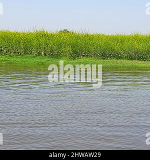 Vue sur la rivière Yamuna depuis le bateau dans la journée à Vrindavan, Krishna temple Kesi Ghat sur les rives de la rivière Yamuna dans la ville de Vrindavan, Boating a Banque D'Images