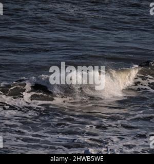 Vagues se brisant à Flamborough Head, East Riding of Yorkshire. Banque D'Images