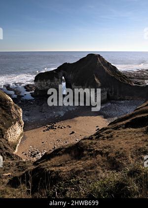 Phoques et vagues se brisant dans la crique avec la formation rocheuse « Drinking Dinosaur », Flamborough Head, East Riding of Yorkshire. Banque D'Images