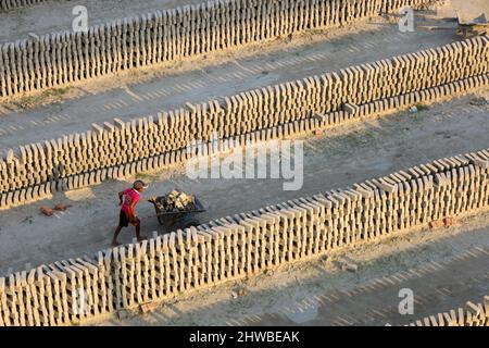 Les travailleurs travaillent dans un champ de briques dans le district de Munshigonj, au Bangladesh. La matière première de la brique est l'argile. Il y a quatre étapes pour faire des briques. Il s'agit de la préparation d'argile de brique, de la moulage de briques, du séchage de briques au soleil et de la combustion de briques. Une brique pèse 5 livres. Normalement, les briques sont utilisées pour tout type de travaux de construction. Dans ces images, les travailleurs font des briques à partir de l'argile et sèchent dans la lumière du soleil. Une fois le processus de séchage terminé, ces briques seront faites en brûlant dans le feu. (Photo de Syed Mahabubul Kader/Pacific Press) Banque D'Images