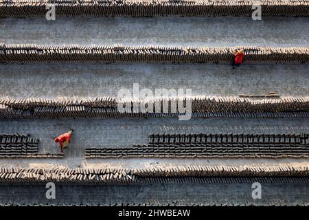 Les travailleurs travaillent dans un champ de briques dans le district de Munshigonj, au Bangladesh. La matière première de la brique est l'argile. Il y a quatre étapes pour faire des briques. Il s'agit de la préparation d'argile de brique, de la moulage de briques, du séchage de briques au soleil et de la combustion de briques. Une brique pèse 5 livres. Normalement, les briques sont utilisées pour tout type de travaux de construction. Dans ces images, les travailleurs font des briques à partir de l'argile et sèchent dans la lumière du soleil. Une fois le processus de séchage terminé, ces briques seront faites en brûlant dans le feu. (Photo de Syed Mahabubul Kader/Pacific Press) Banque D'Images