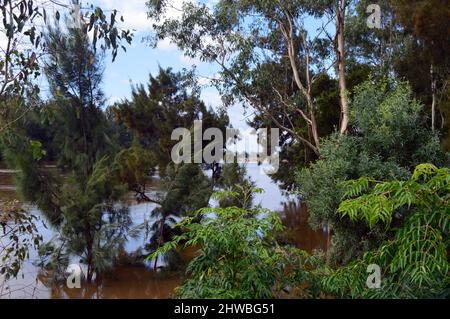 La rivière Hawkesbury, dans l'ouest de Sydney, est gonflée par de fortes pluies Banque D'Images