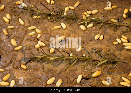 Gâteau toscan avec farine de châtaignier, pignons de pin et romarin Banque D'Images