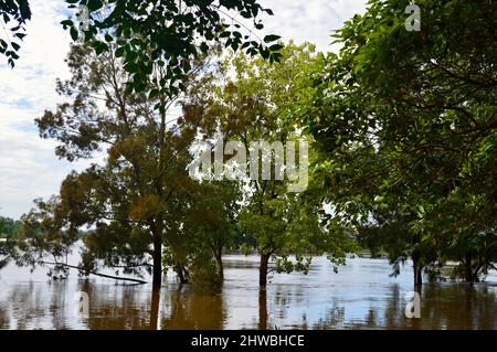 Vue sur la rivière Hawkesbury en crue à Windsor, dans l'ouest de Sydney, en Australie Banque D'Images