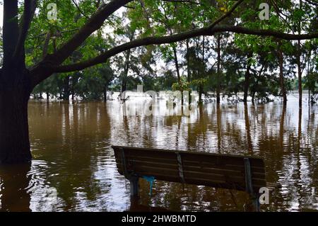 Parc inondé à Windsor, dans l'ouest de Sydney Banque D'Images