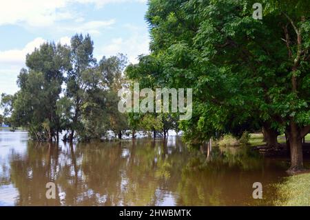 Parc inondé à Windsor, dans l'ouest de Sydney Banque D'Images