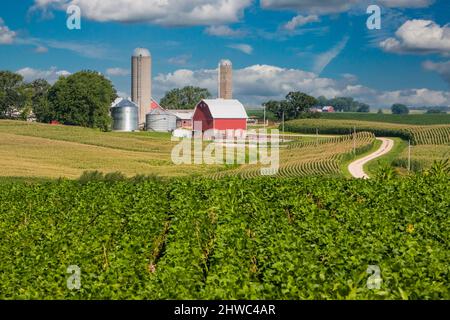 Iowa Farm, près de Luxembourg, Iowa. Comté de Dubuque. Banque D'Images