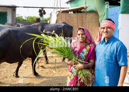 joyeux sourire laiterie village de l'élevage des couples avec la main de l'herbe en regardant la caméra - concept de famille heureuse, village style de vie et de la convivialité Banque D'Images