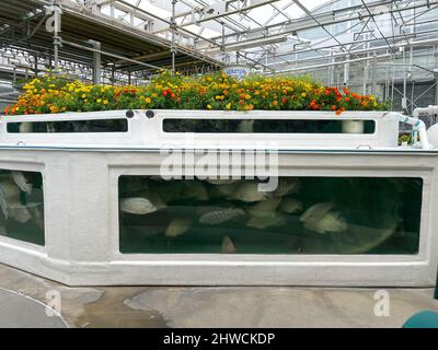 orlando, FL USA- 27 avril 2021 : l'intérieur du pavillon Land à EPCOT dans Walt Disney World à Orlando, en Floride. Banque D'Images