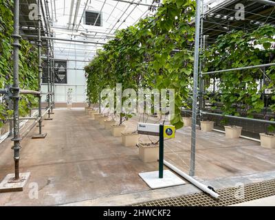 orlando, FL USA- 27 avril 2021 : l'intérieur du pavillon Land à EPCOT dans Walt Disney World à Orlando, en Floride. Banque D'Images