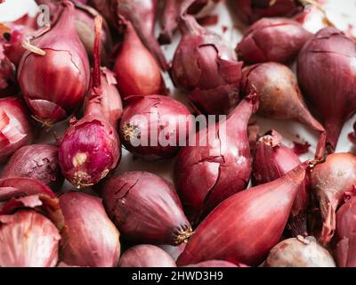 Collection de jeux d'oignons rouges pour la plantation dans un potager. Banque D'Images