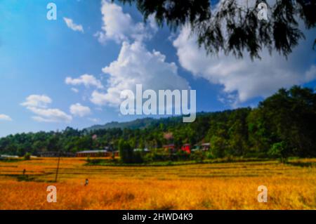 Image floue du champ agricole sous ciel bleu avec des nuages, Silerygaon Village, Sikkim Banque D'Images