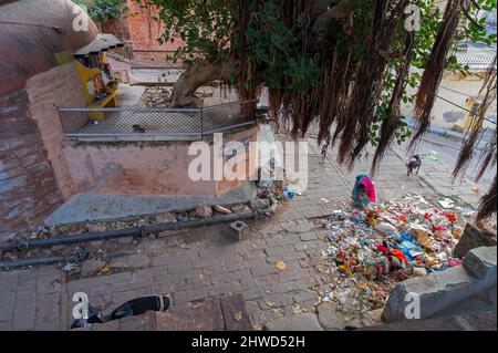 Jodhpur, Rajasthan, Inde - 21st octobre 2019 : couleur orange ancien Mandir hindou recouvert de racines de Banyan Tree, Ficus benghalensis, dans la ville de Jodhpur. Banque D'Images