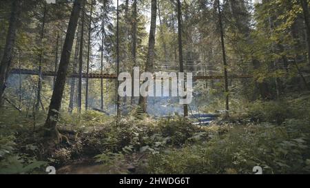 Vue sur le fumeur avec sac à dos sur le pont suspendu en bois dans la forêt de conifères. Tourisme et voyages Banque D'Images