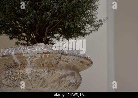 Maison néoclassique ancienne maison faite à la main en pierre avec une plante contre un mur de stuc à Nafplio, Grèce. Banque D'Images