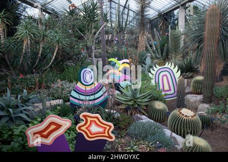 Le festival d'orchidées 2022 dans le Princess of Wales Conservatory, Kew Gardens, Angleterre Royaume-Uni Banque D'Images