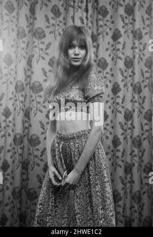 Madeline Smith, une actrice et mannequin de 20 ans, va bientôt finir de tourner sur son deuxième film intitulé « The Vampire Lovers » a Hammer production à Elstree. Ici, elle est photographiée à sa maison. 22nd février 1970. *** Légende locale *** Maddy Smith Banque D'Images