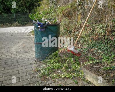 Travaux d'entretien du jardin. Sac et balai vert pour jardinier. Taille de la haie à ressort au niveau de la clôture sur une limite de propriété Banque D'Images