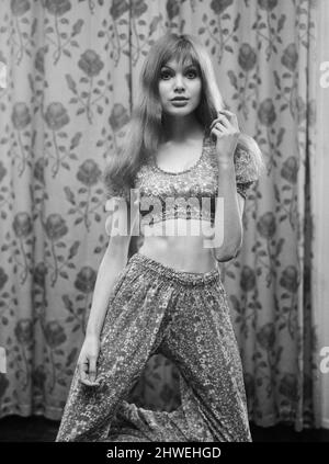 Madeline Smith, une actrice et mannequin de 20 ans, qui va bientôt finir de filmer son deuxième film intitulé « les amants de Vampire » a Hammer production à Elstree. Ici, elle est photographiée chez elle. 22nd février 1970. *** Légende locale *** Maddy Smith Banque D'Images