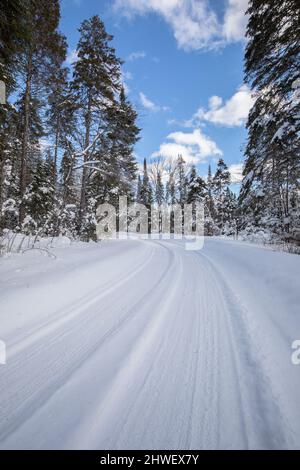 La neige couvre les arbres le long de la route menant au barrage de Tea Lake, dans le parc Algonquin, en Ontario, en mars Banque D'Images