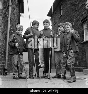 Cinq garçons qui sont sortis à la recherche de tiddlers et ont débarqué un brochet de 12 lb de trois pieds de long. De gauche à droite, Ian Shaw (8), Christopher Shaw (12), Stephen Jones (12), Antony Lockett (10) et Kevin Thomas (9). Septembre 1969. Banque D'Images