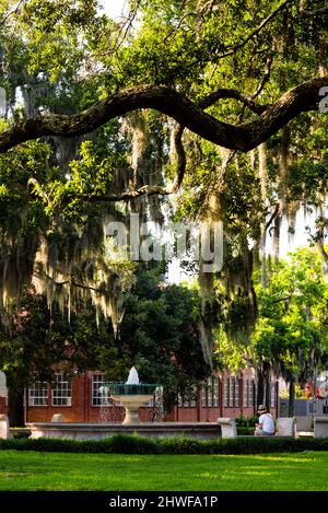 Fontaine commémorative allemande, Orléans Square, Savannah, Géorgie. Banque D'Images