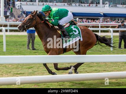 Hallandale Beach, Floride, États-Unis. 5th mars 2022. 5 mars 2022: #5 VIRGINIA JOY et Jockey Irad Ortiz Jr. Et de gagner les enjeux très un (Grade 3) pour le formateur Chad Brown sur la fontaine de la Jeunesse Stakes Day au parc Gulfstream à Hallandale Beach, FL le 5th mars 2022. Liz Lamont/Eclipse Sportswire/CSM/Alamy Live News Banque D'Images