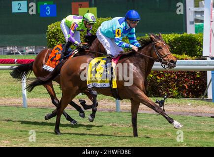 Hallandale Beach, Floride, États-Unis. 5th mars 2022. 5 mars 2022 : #4 LA MISSION MIRA et le Jockey Julien Leparoux se sont emparis et ont remporté les enjeux de la pelouse canadienne (3 e année) à l'occasion de la Journée des enjeux de la Fontaine des jeunes au parc Gulfstream, à Hallandale Beach, FL, le 5th mars 2022. Liz Lamont/Eclipse Sportswire/CSM/Alamy Live News Banque D'Images