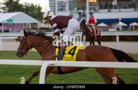 Hallandale Beach, Floride, États-Unis. 5th mars 2022. 5 mars 2022: #4 SPENDERELLA et Jockey Jose Ortiz remportent les enjeux Herecomesthebride (Grade 3) sur le terrain pour le formateur H. Graham Motion sur la Journée des enjeux de la Fontaine de jeunesse au parc Gulfstream à Hallandale Beach, FL le 5th mars 2022.Liz Lamont/Eclipse Sportswire/CSM/Alay Live News Banque D'Images