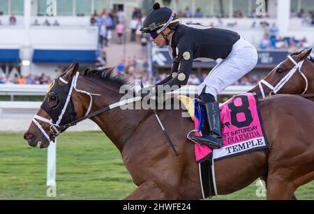 Hallandale Beach, Floride, États-Unis. 5th mars 2022. 5 mars 2022: Le Temple #8 et Jockey Jose Ortiz gagnent le Mac Diarmida Stakes (Grade 2) sur le terrain pour le formateur Mike Maker sur la fontaine de la Journée des enjeux de la jeunesse à Gulfstream Park à Hallandale Beach, FL le 5th mars 2022.Liz Lamont/Eclipse Sportswire/CSM/Alay Live News Banque D'Images