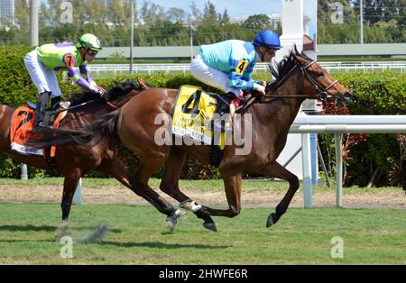 Hallandale Beach, Floride, États-Unis. 5th mars 2022. 5 mars 2022 : #4 LA MISSION MIRA et le Jockey Julien Leparoux se sont emparis et ont remporté les enjeux de la pelouse canadienne (3 e année) à l'occasion de la Journée des enjeux de la Fontaine des jeunes au parc Gulfstream, à Hallandale Beach, FL, le 5th mars 2022. Gonzalo Anteliz Jr/Eclipse Sportswire/CSM/Alamy Live News Banque D'Images