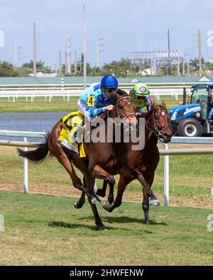 Hallandale Beach, Floride, États-Unis. 5th mars 2022. 5 mars 2022 : #4 LA MISSION MIRA et le Jockey Julien Leparoux se sont emparis et ont remporté les enjeux de la pelouse canadienne (3 e année) à l'occasion de la Journée des enjeux de la Fontaine des jeunes au parc Gulfstream, à Hallandale Beach, FL, le 5th mars 2022. Liz Lamont/Eclipse Sportswire/CSM/Alamy Live News Banque D'Images