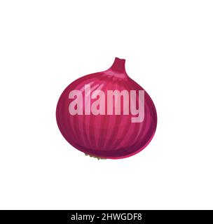 Légume bulbe d'oignon rouge cru isolé. Purple Shallot Farm récolte fraîche, nourriture naturelle et saine ou ingrédient d'assaisonnement culinaire. Vecteur de dessin animé wh Illustration de Vecteur