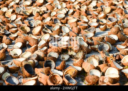 Beaucoup de viande de noix de coco et de noix de coco est sur le sol pour le séchage naturel. Vue de dessus. Banque D'Images
