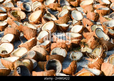 Beaucoup de viande de noix de coco et de noix de coco est sur le sol pour le séchage naturel. Vue de dessus. Banque D'Images