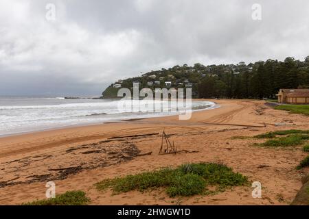Sydney, Australie. 06th mars 2022. Le système de basse pression le long de la côte est de l'Australie se poursuivra la semaine prochaine, les fortes pluies et les inondations affectant les communautés de la Nouvelle-Galles du Sud et du Queensland. Photo de Palm Beach à Sydney avec des débris éparpillés à travers la plage du temps orageux et de fortes conditions de surf, Credit Martin Berry@alamy Live news. Credit: martin Berry/Alay Live News Banque D'Images