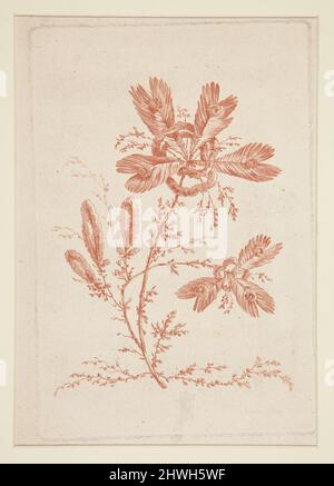Sans titre (fleurs idéales), à partir d'un ensemble de six. Artiste: Jeanne Deny, française, 1749–après 1815After: Jean Baptiste Pillement, française, 1728–1808 Banque D'Images
